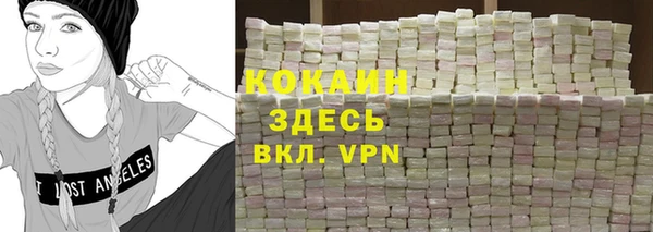тгк Няндома