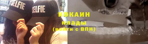 тгк Алзамай