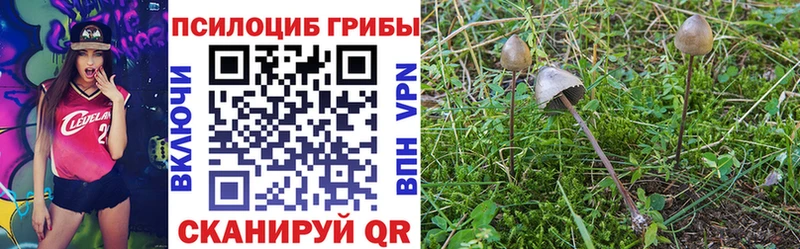 Псилоцибиновые грибы MAGIC MUSHROOMS  Лесосибирск 